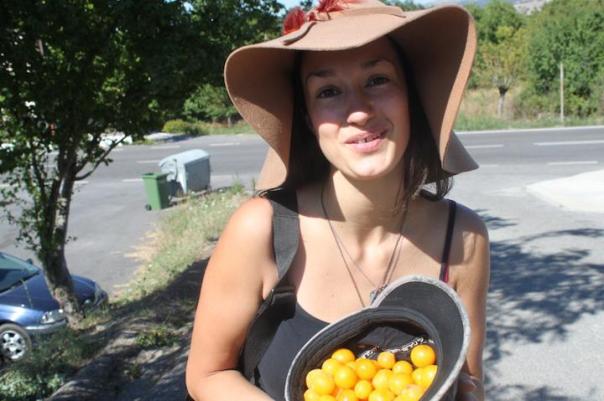 Picking plums on The Culinary Linguists blog #Greece